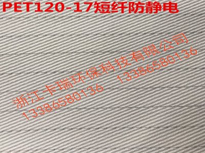 120-17短纤防静电背