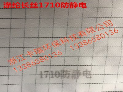1710防静电背面