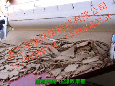 造纸污泥过滤布-云南某造