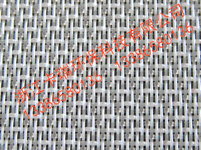 聚酯成型网 八综单层网