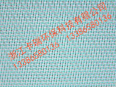 聚酯成型网 十六综两层半