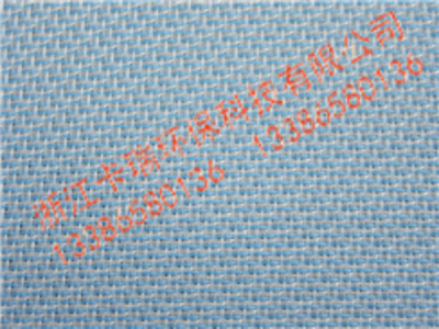 聚酯成型网八综两层半网